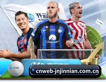 cnweb-jnjinnian.com.cn APP 深度功能